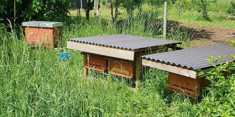 Der neue Bienenstand. (Foto: Uwe Stahl)