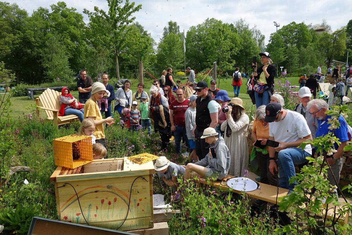 Wurde die Einraumbeute ge&ouml;ffnet, dauerte es nicht lange, bis interessierte Zuschauer*innen herbeistr&ouml;mten. Hier lie&szlig;en wir zum Weltbienentag am 20. Mai einen Schwarm in die Einraumbeute einlaufen. (Foto: Mich&eacute;le Brunnmeier)