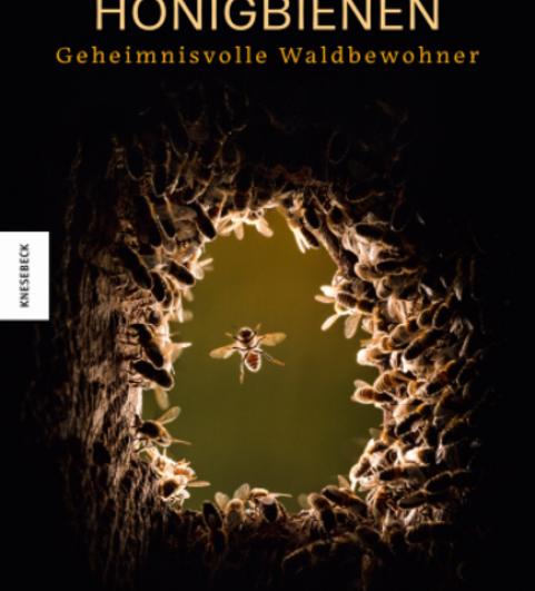 Cover (Foto: Knesebeck-Verlag)
