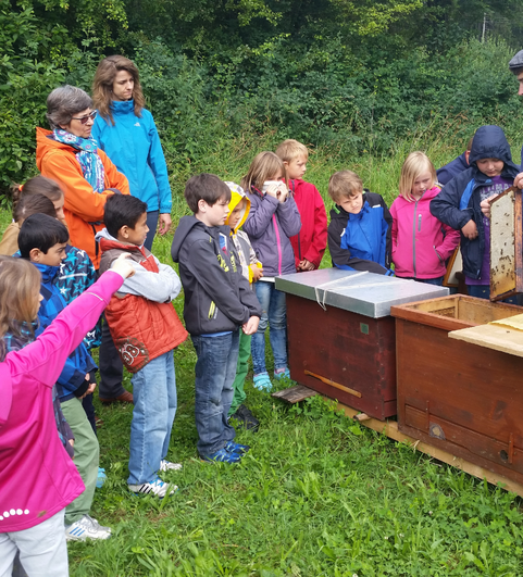 Seit 2010 bringt die Initiative &bdquo;Bienen machen Schule&ldquo; die Bienen zu den Kindern. Wie etwa bei diesem Bienen-Erlebnistag 2016 mit Rebecca Schmitz und Matthias Zweier. (Foto: Mellifera e. V.)
