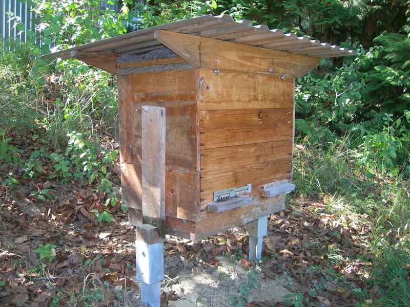 selbstgebaute Einraumbeute 