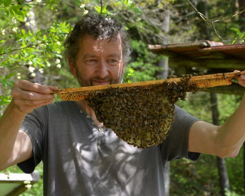 Auf Augenh&ouml;he mit den Bienen: Mellifera-Imker Andreas Halder am Bienenlehrpfad Lagd. (Foto: Lydia Wania-Dreher)