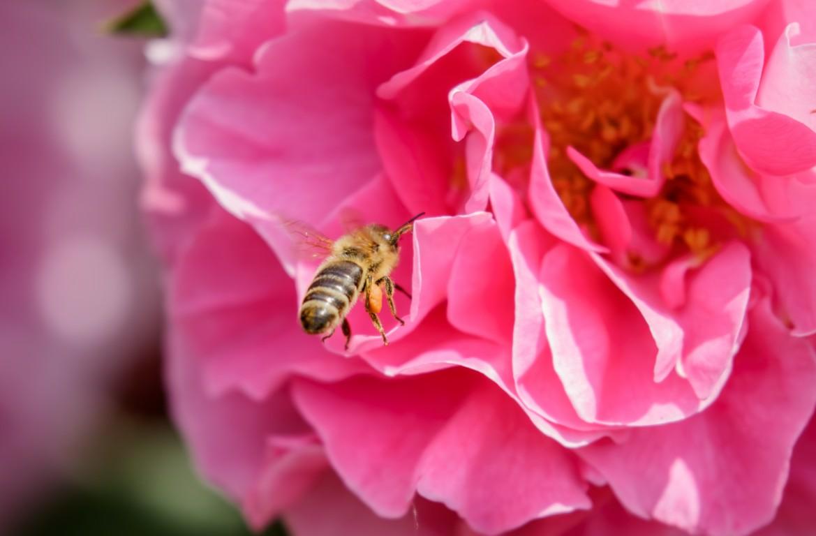  (Foto: Anja L&uuml;ke)