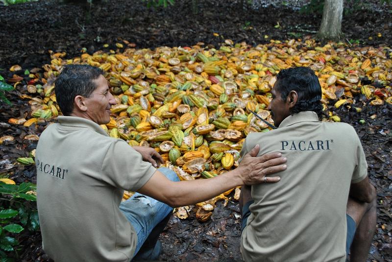 Die beiden Pacari-Gr&uuml;nder Carla Barbot&oacute; und Santiago Peralta vor den geernteten Kakao-Schoten. (Foto: Pacari &reg;)