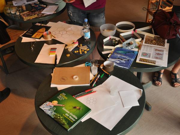  (Foto: Mellifera e. V.)