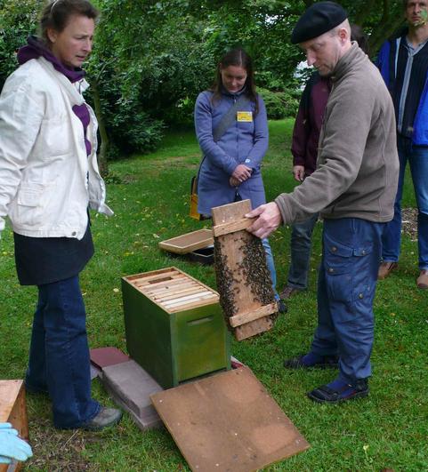 Den Bienenschwarm erleben... 