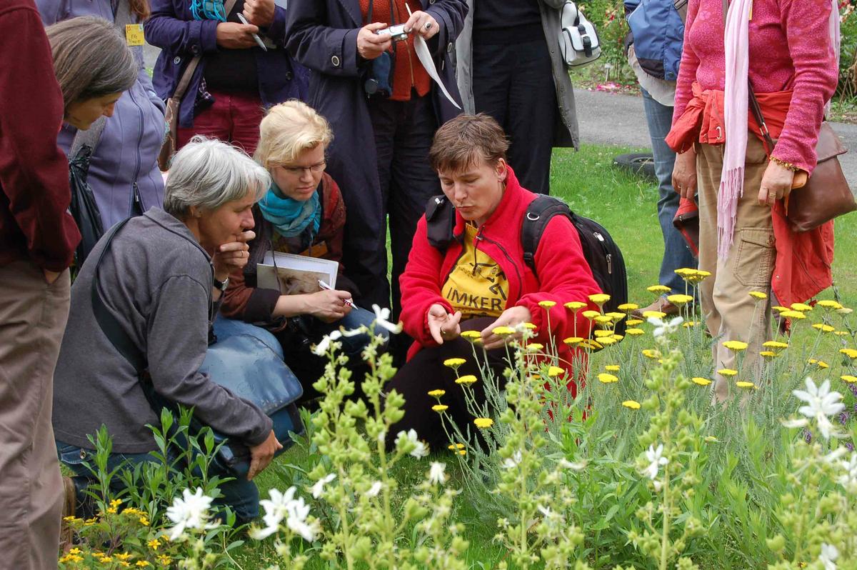 Bl&uuml;ten und ihre Besucher (Foto: B. Str&ouml;ll)