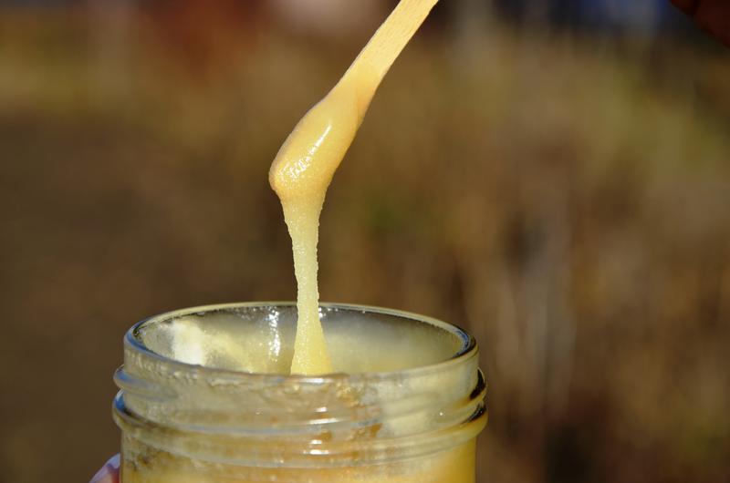 Honig schmeckt lecker und tut gut. (Foto: Mellifera e. V.)