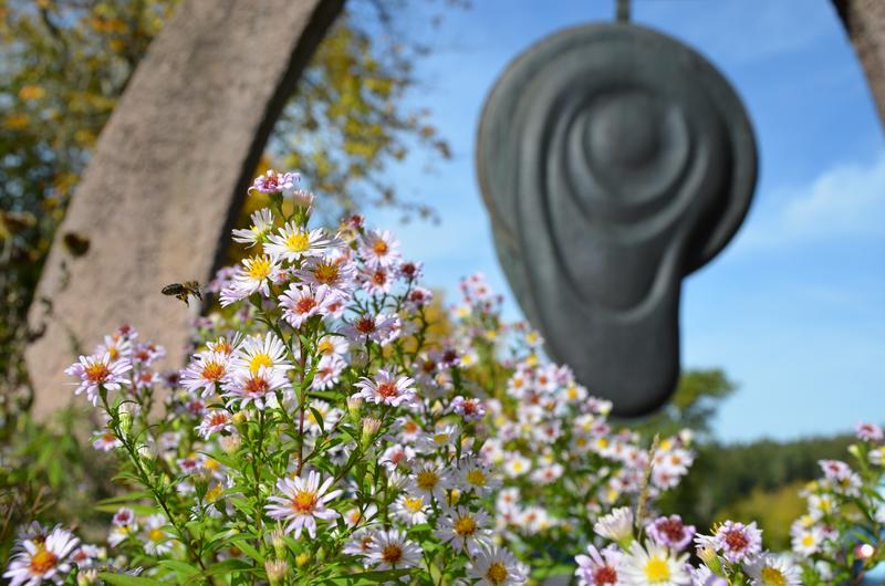 Eine Honigbienen fliegt zu den Bl&uuml;ten vor dem Mellifera Vereinsgeb&auml;ude. (Foto: Mellifera e. V. / Lydia Wania-Dreher)