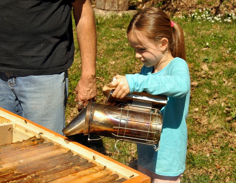 Bei der j&auml;hrlichen Tagung zu &raquo;Bienen machen Schule&laquo; geht es praktisch zu. Neben dem Ideenaustausch k&ouml;nnen praktische Erfahrungen am Bienenvolk gemacht werden - auch von Kindern. 