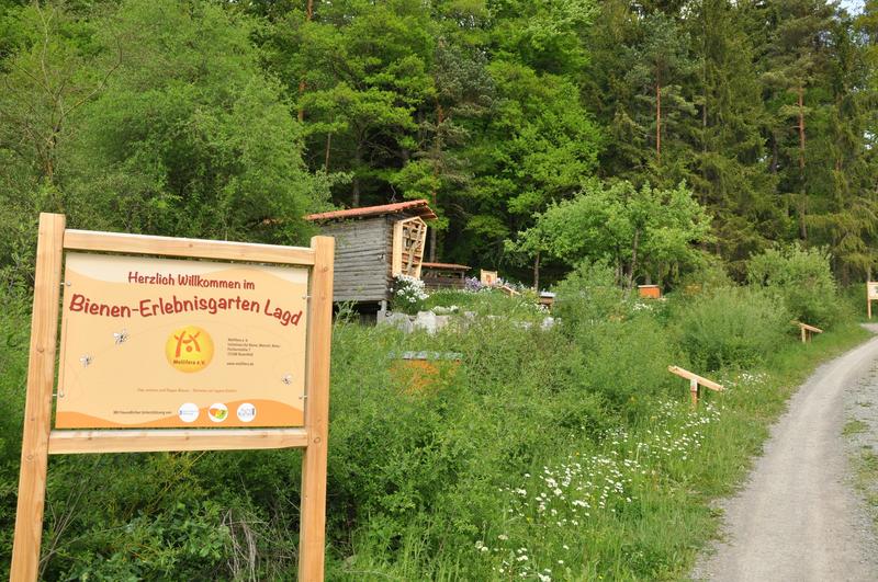 Der Bienenerlebnisgarten an der Fischerm&uuml;hle 