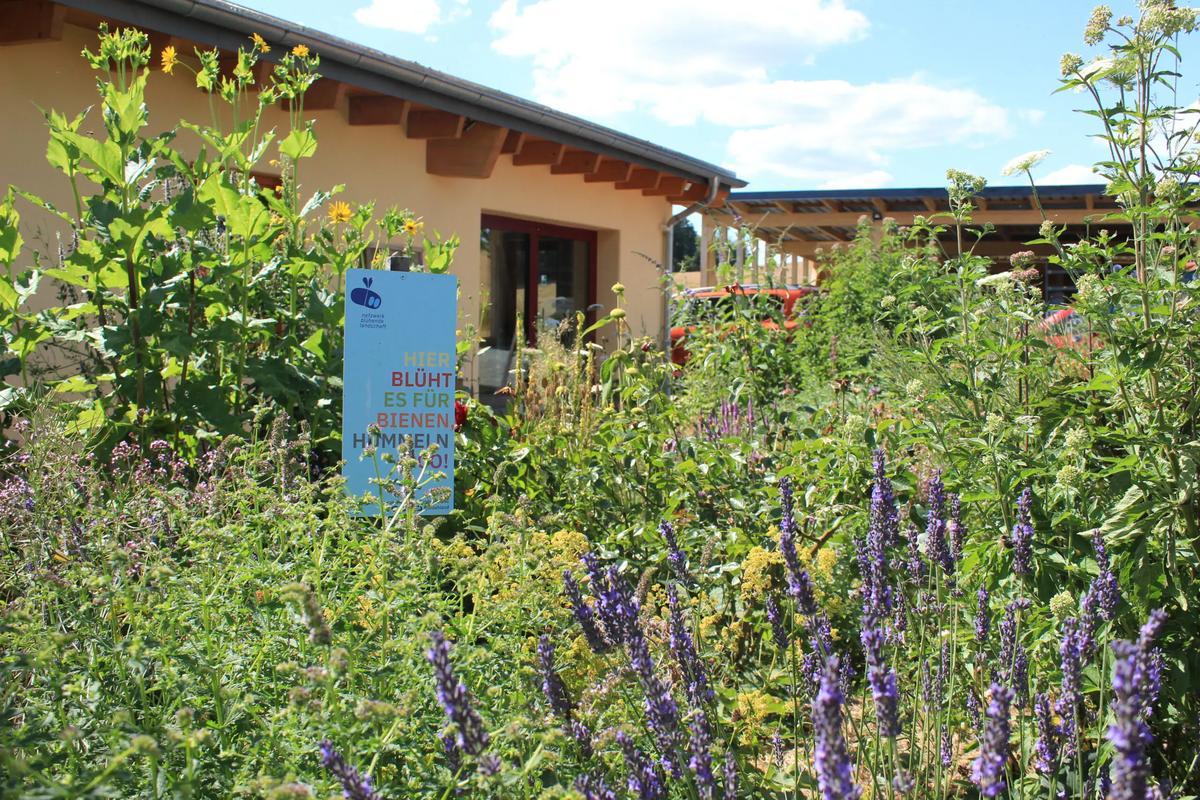 Ein bunt bl&uuml;hender Garten erfreut nicht nur das Auge, sondern auch Bienen, Hummeln, Schmetterlinge & Co. (Foto: Hanna Konrad)