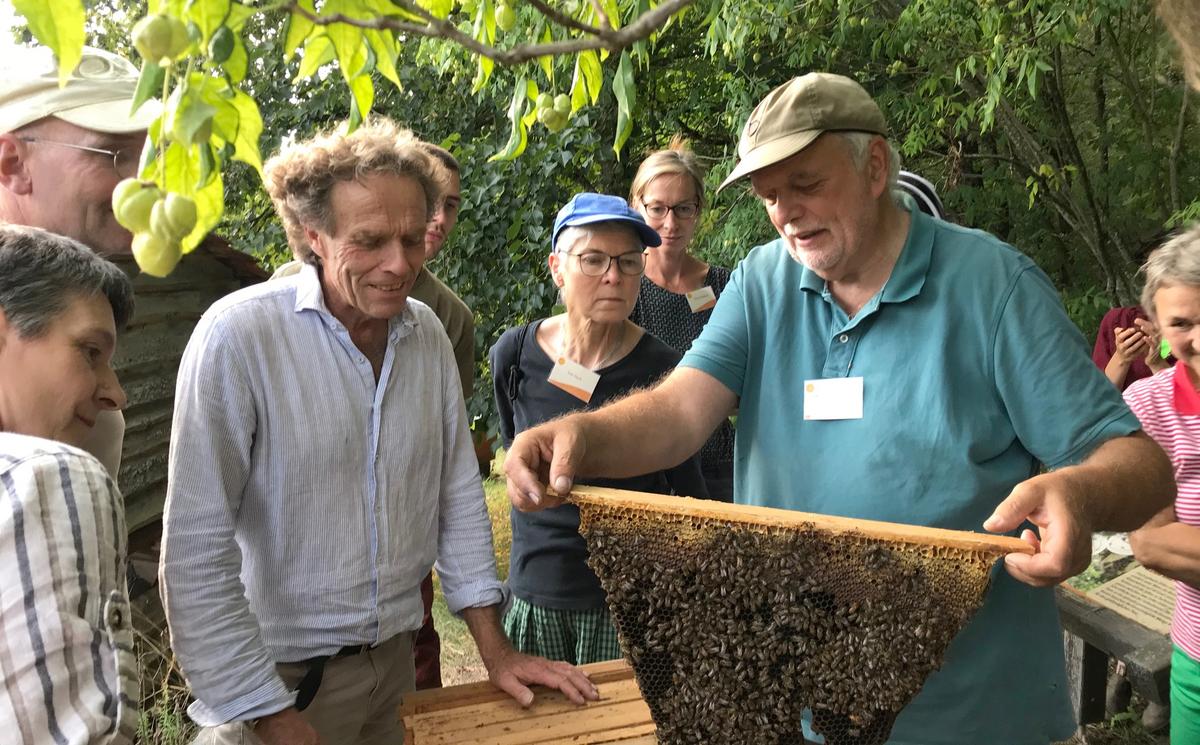 Norbert Poeplau (rechts) mit Kursteilnehmer*innen und Dr. Johannes Wirz bei den Bienen. (Foto: Barbara Leineweber)