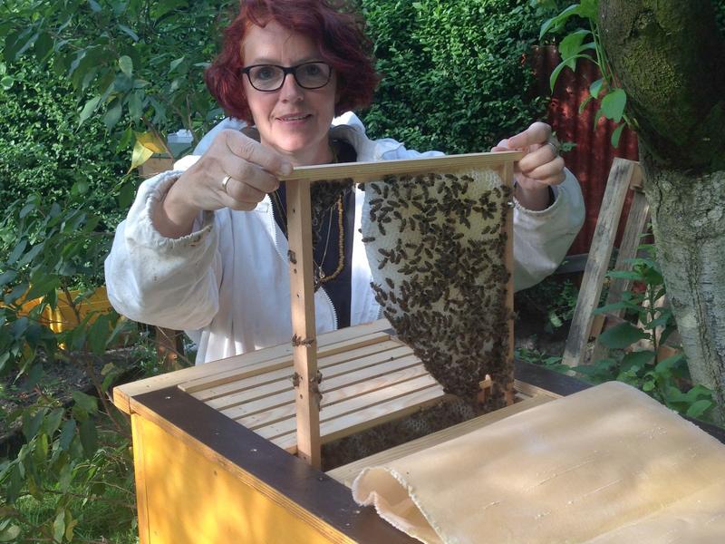 Barbara Leineweber mit ihren Bienen. (Foto: privat)