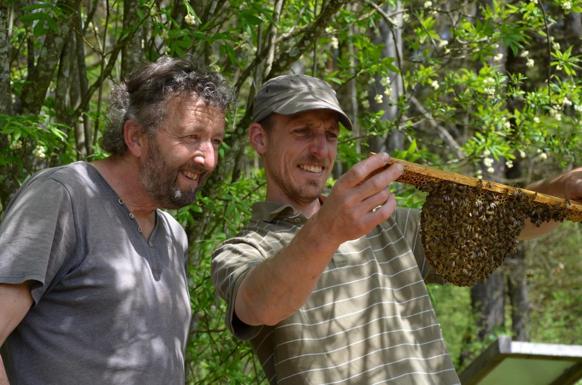 Andreas Halder (links) und Benedikt Pestalozzi bei den Bienen an der Fischerm&uuml;hle. (Foto: Lydia Wania-Dreher)