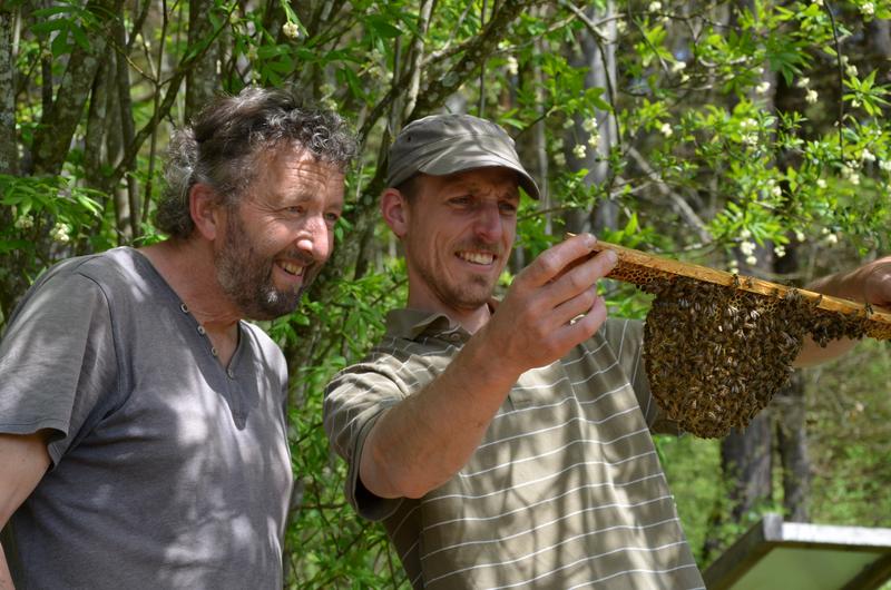 Andreas Halder (links) und Benedikt Pestalozzi bei den Bienen an der Fischerm&uuml;hle. (Foto: Lydia Wania-Dreher)