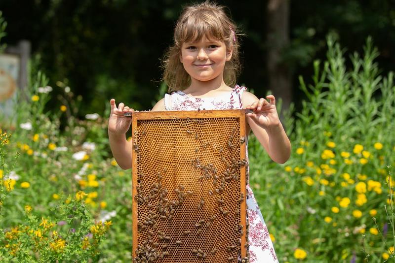 Bienen sind ein hervorragender Lehrmeister f&uuml;r Kinder. (Foto: Mellifera e. V.)