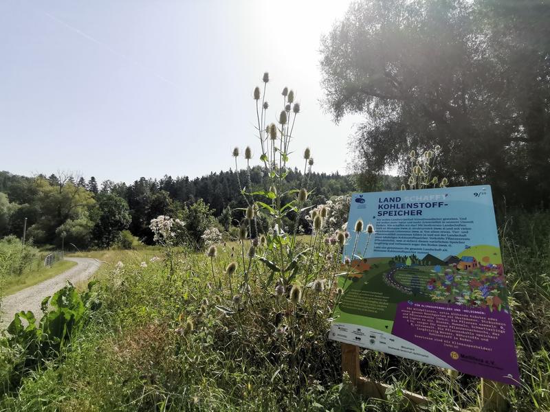 Insgesamt 10 Tafeln kl&auml;ren &uuml;ber Biodiversit&auml;t und den Klimawandel auf. (Foto: Marie Holler)
