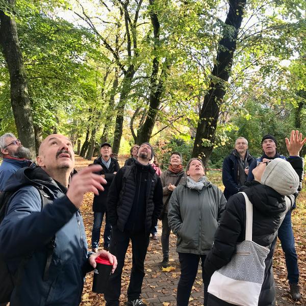 Liegt da ein Summen in der Luft? Besuch bei den Bienen im Prinzessinnen-Garten  (Foto: Silke Meyer)