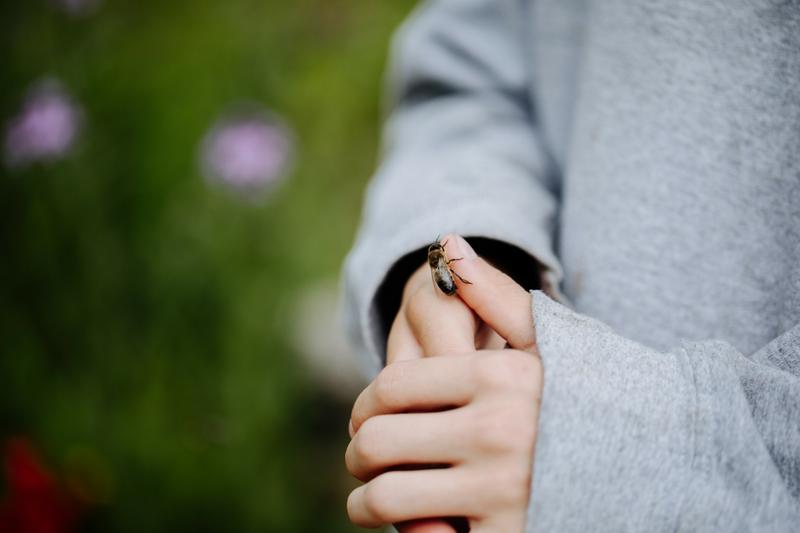 Zusammen f&uuml;r eine Welt im Einklang: Eine Drohne hat sich auf der Hand eines Kindes niedergelassen. (Foto: Mich&egrave;le Brunnmeier)