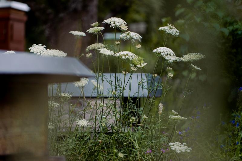  (Foto: Mich&egrave;le Brunnmeier)