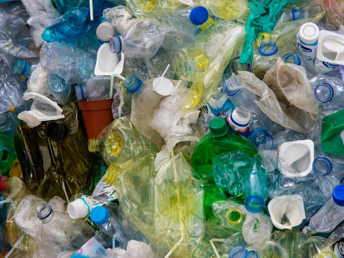 Tag f&uuml;r Tag produzieren wir Tonnen an Plastikm&uuml;ll, welcher in Form kleinster Partikel auch seinen Weg in die K&ouml;rper von Insekten findet. (Foto: Pexels/Magda Ehlers)