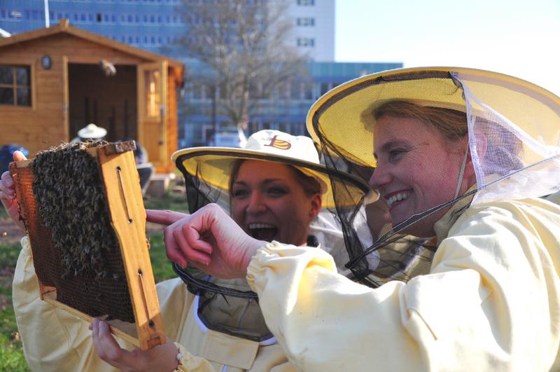 Professorin Dr. Andrea Möller mit einer Studentin bei den Bienen (Foto: Hesser)