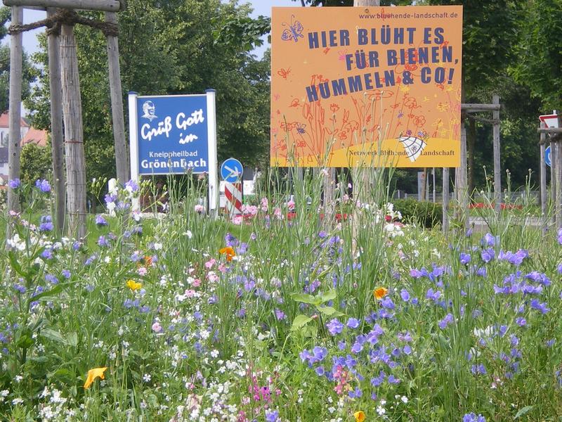 Farbenfrohe Bl&uuml;hfl&auml;chen an exponierter Stelle wecken Interesse und wirken &uuml;berzeugend. (Foto: Markus Haseitl)
