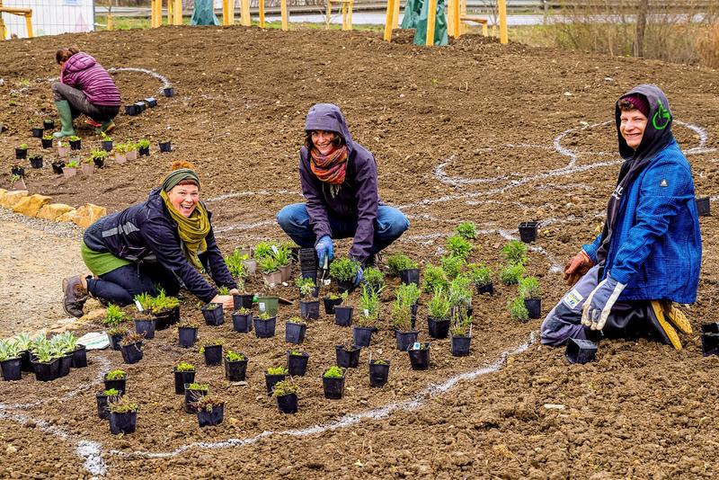 Schon 2021 wurde von unserem Team die ersten Stauden auf der Gartenschau gepflanzt. (Foto: Paul Bossenmaier)