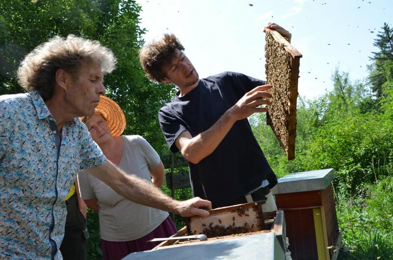 Paul Lukhaub (rechts) und Dr. Johannes Wirz zeigten beim Schwarmseminar einer Teilnehmnerin, was im Bienenstock gerade los ist. (Foto: Lydia Wania-Dreher)