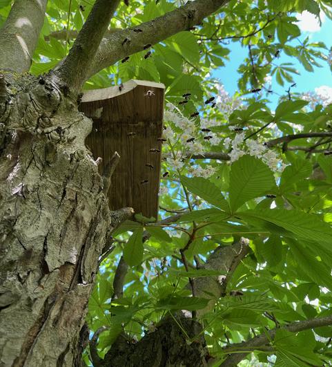 ...hat nun ein Dach. (Foto: Mario Lochmann)