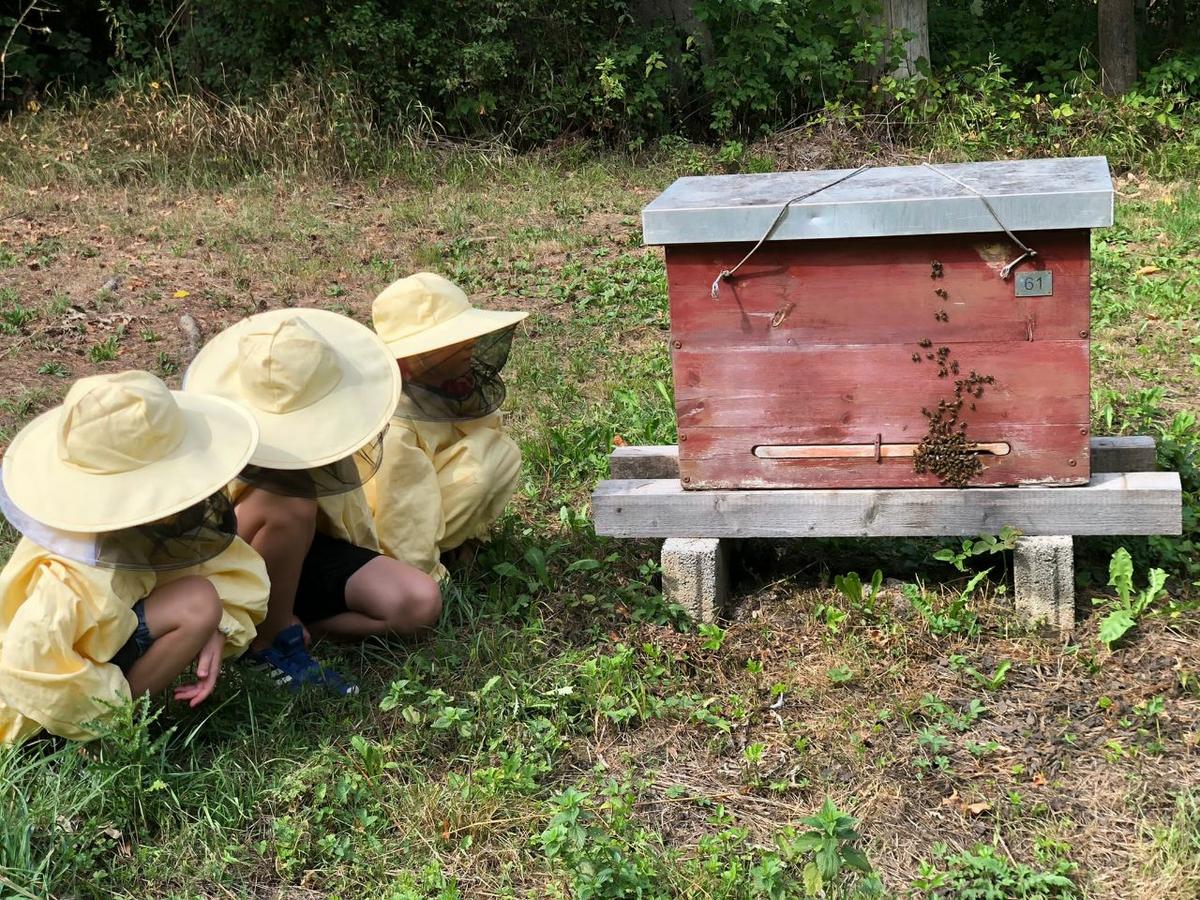 Viele Kinder hatten 2022 Spa&szlig; im Bienengarten Oberndorf &ndash; und konnten jede Menge &uuml;ber Bienen, Hummeln & Co. lernen. (Foto: Alica Kipp)