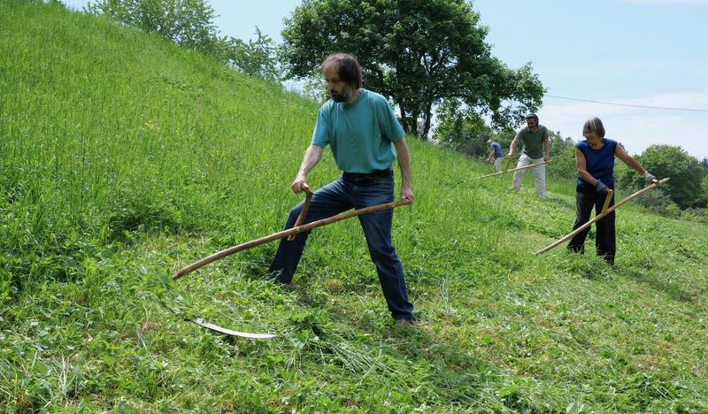 Die Stuttgarter Sensenschwinger m&auml;hen gerne gemeinsam ihre Wiesen &ndash; und sch&uuml;tzen dabei Umwelt und Insekten. (Foto: Bienenschutz Stuttgart e. V.)