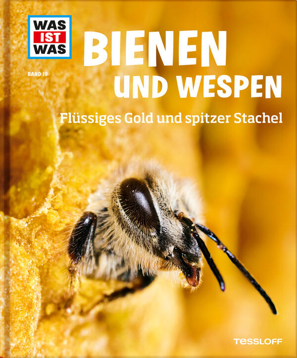 Bienen und Wespen. Flüssiges Gold und spitzer Stachel.