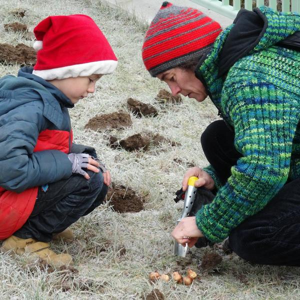 Gerade mit Kindergarten- und Schulkindern lassen sich öffentlichkeitswirksame Zwiebelpflanzaktionen durchführen. (Foto: Milana Müller)