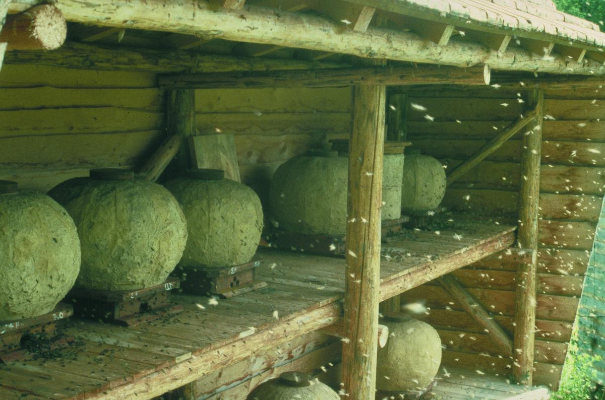 Alemannische R&uuml;mpfe, traditionelle Bienenk&ouml;rbe aus Stroh mit Kuhmist bestrichen an der Fischerm&uuml;hle. (Foto: Thomas Radetzki)