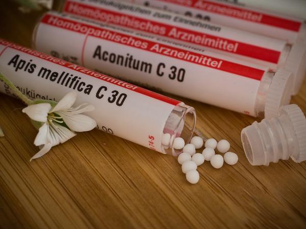 In der Homöopathie wird das Bienengift in verdünnter und potenzierter Form angewendet. 