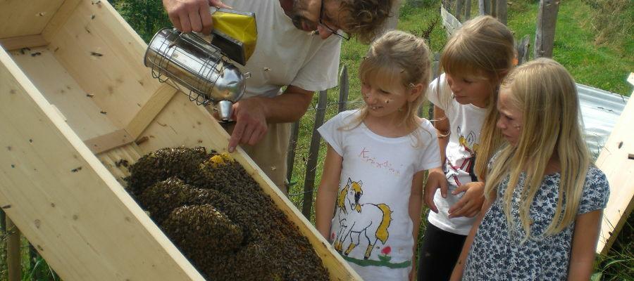 Gemeinsam das Bienenvolk als Ganzes wahrnehmen: Ein Erlebnis f&uuml;r Gro&szlig; und Klein. 