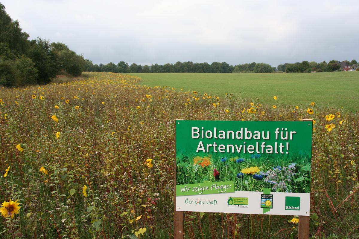Bl&uuml;hstreifenaktion des K&Ouml;N in Zusammenarbeit mit verschiedenen Bio-H&ouml;fen. (Foto: K&Ouml;N/Eva Meyerhoff)