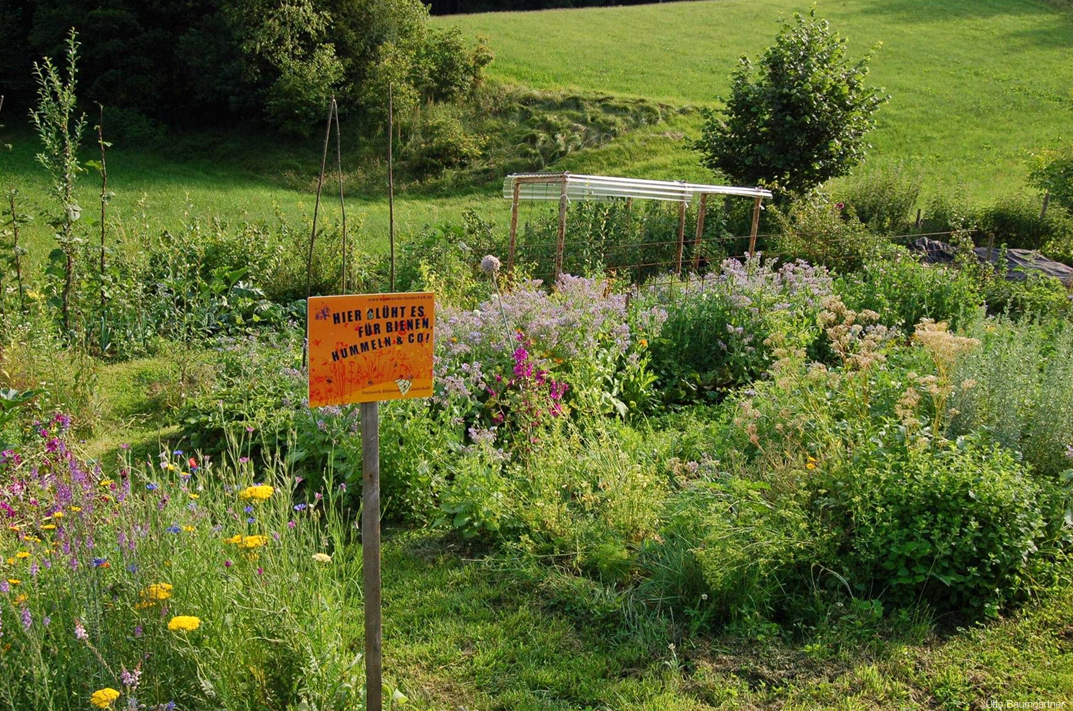 bl&uuml;hender Garten (Foto: U. Baumgartner)