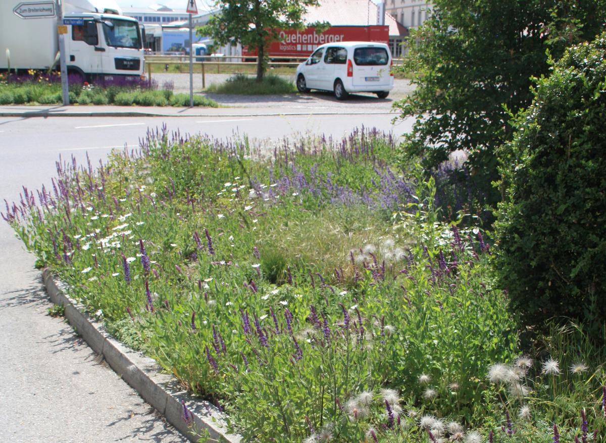 Bl&uuml;hender Staudenstreifen der naturnah arbeitenden Stadtg&auml;rtnerei. (Foto: Holger Loritz)
