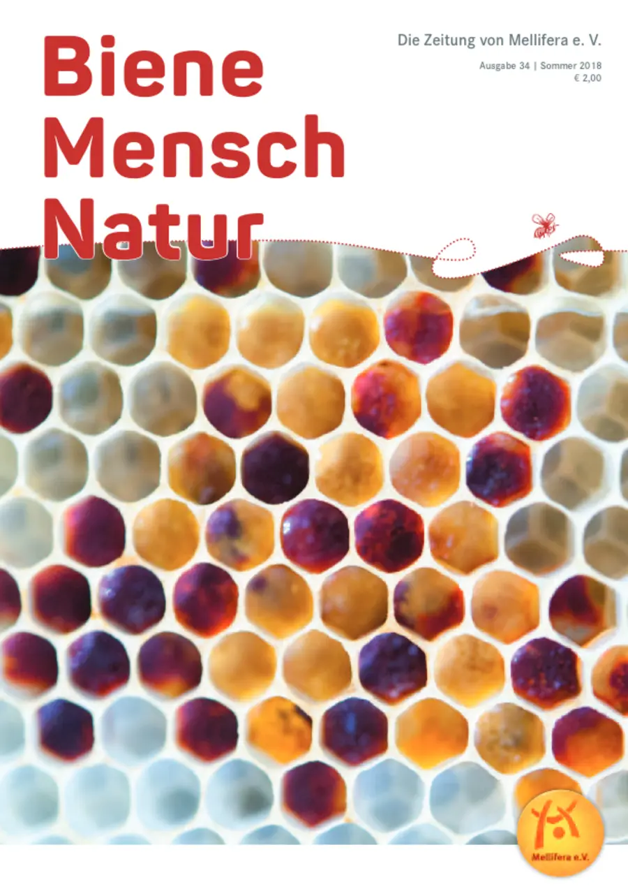 Cover von »Biene Mensch Natur« Ausgabe 34 | Sommer 2018
