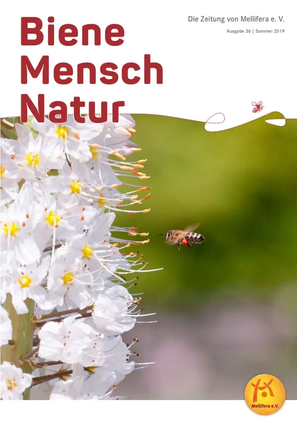 Cover BieneMenschNatur.44