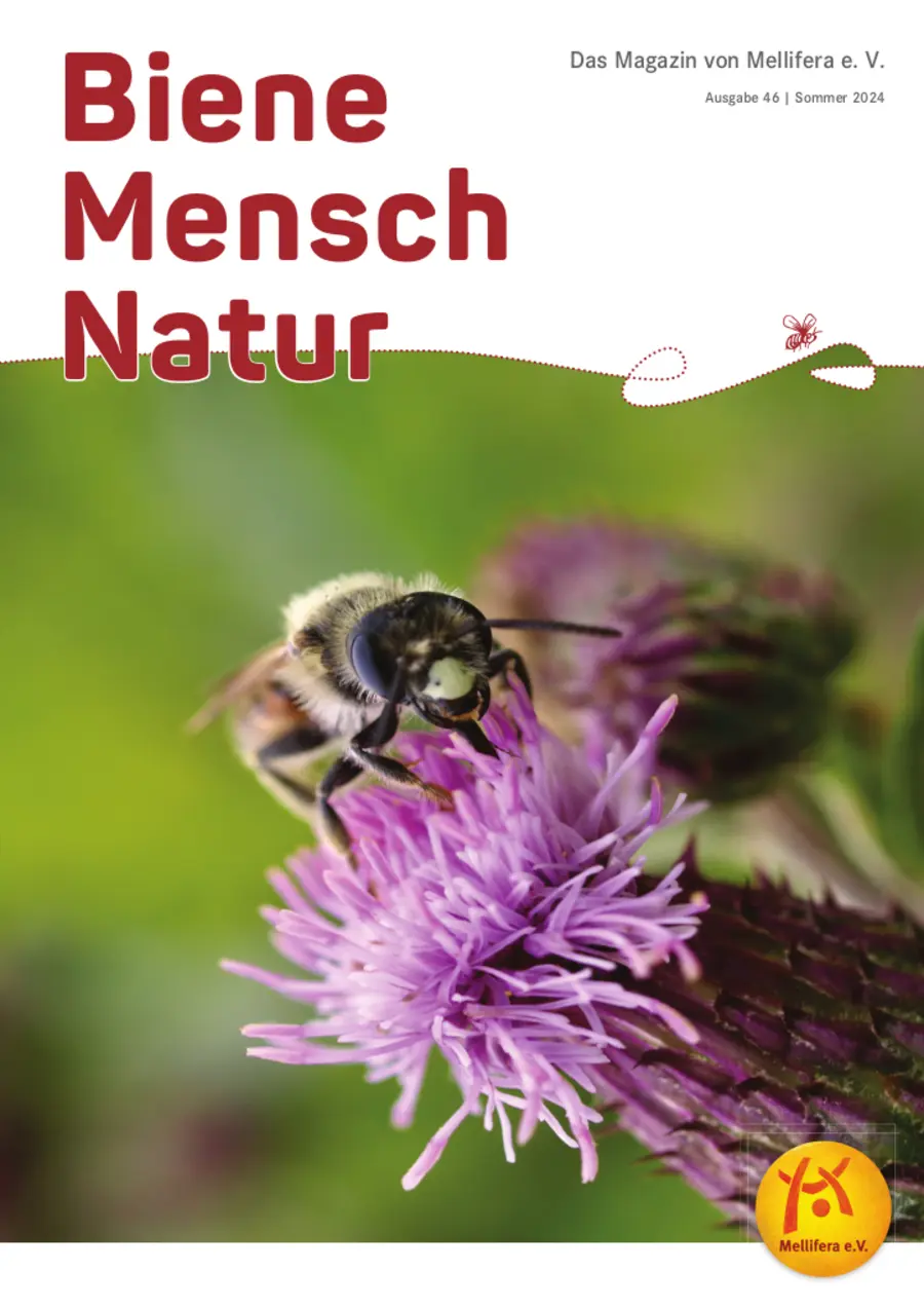Cover von »Biene Mensch Natur« Ausgabe 46 | Sommer 2024