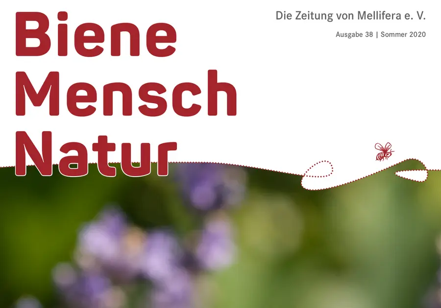 Cover von »Biene Mensch Natur« Ausgabe 38 | Sommer 2020
