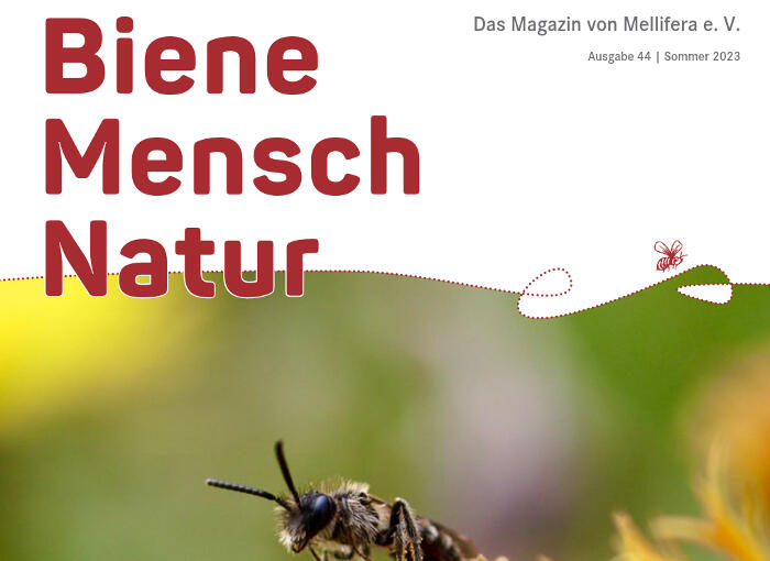 Cover 0