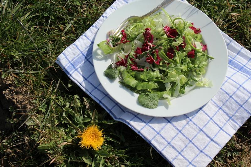 Salat im M&auml;rz (Foto: Birgit Matz)