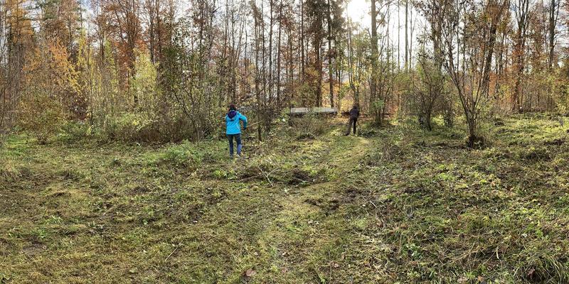 Panoramaansicht des Bienengartens – die Arbeitswichtel sind überall. (Foto: Nick Leukhardt)