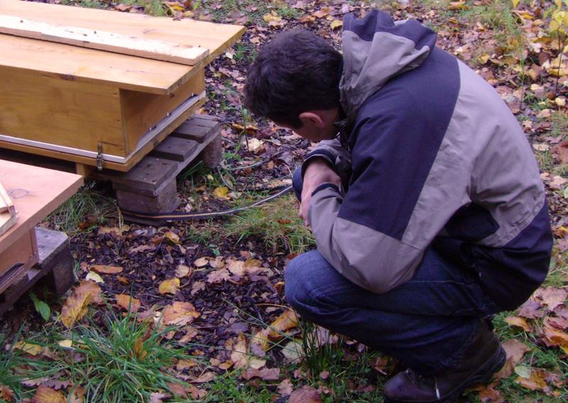 Besuch am Bienenstand 