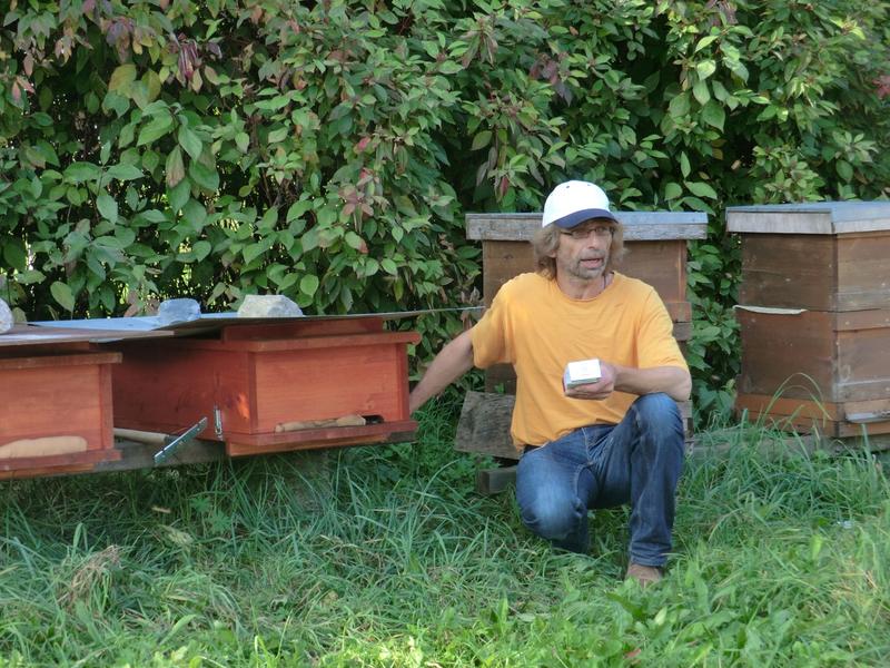 Markus Haseitl erkl&auml;rt, wie man eine Bienenkiste &ouml;ffnet (Foto: Kevin Pfeiffer)